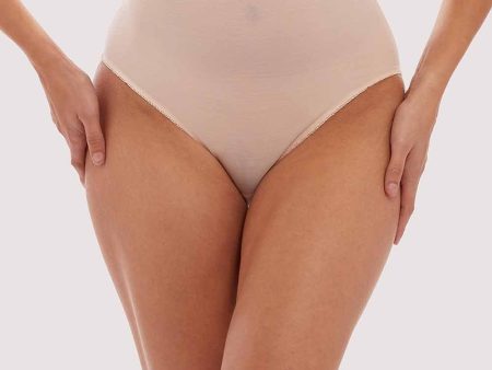 Elsie Peach Mesh Classic High Waist Brief Hot on Sale