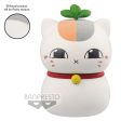 NATSUME YUJINCHO FLUFFY PUFFY TRIPLE NYANKOSENSEI  CTRIPLE NYANKOSENSEI3 on Sale