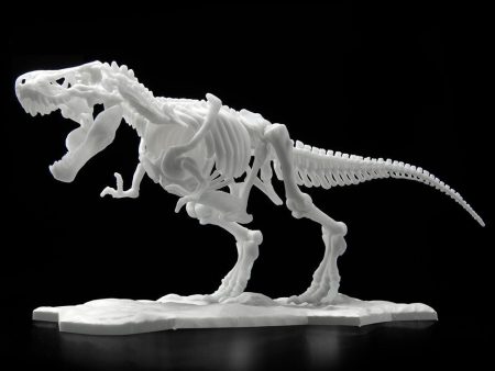 DINOSAUR MODEL KIT LIMEX SKELETON Tyrannosaurus Online