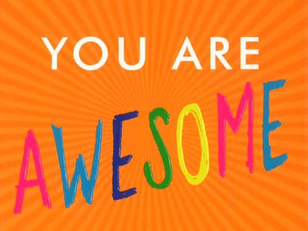 You Are Awesome: How to Navigate Change, Wrestle with Failure, and Live an Intentional Life Fashion